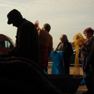 Veszélyben a családi gazdaságok?