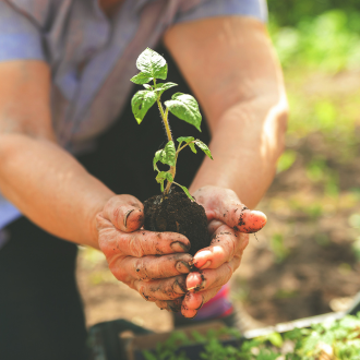 Észre sem vettük, de megtörtént